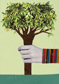 Katherine Streeter