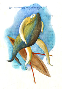 Illustrations by Yevgenia Nayberg