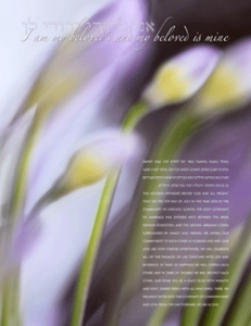 'African Lily' by Daniel Sroka,. Copyright Daniel Sroka, www.modernketubah.com.