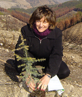 Kathy Hershfield