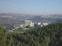 Courtesy of HKS, Inc. and Spector Amisar, architects