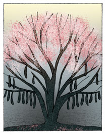 Illustration by Christianne Grauert