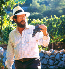 Photo Courtesy of Domaine du Castel