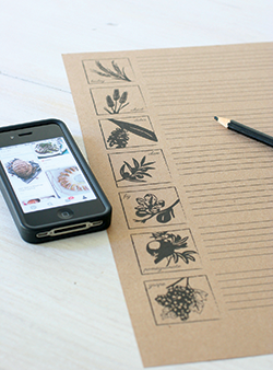 ChaiandHome.com's sukkot menu planner.